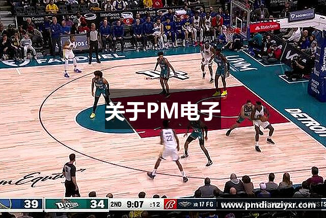 关于PM电子